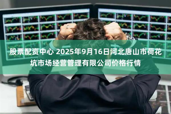 股票配资中心 2025年9月16日河北唐山市荷花坑市场经营管理有限公司价格行情